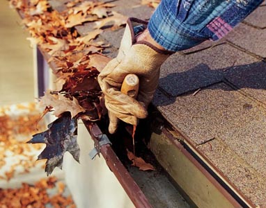 gutter cleaning image